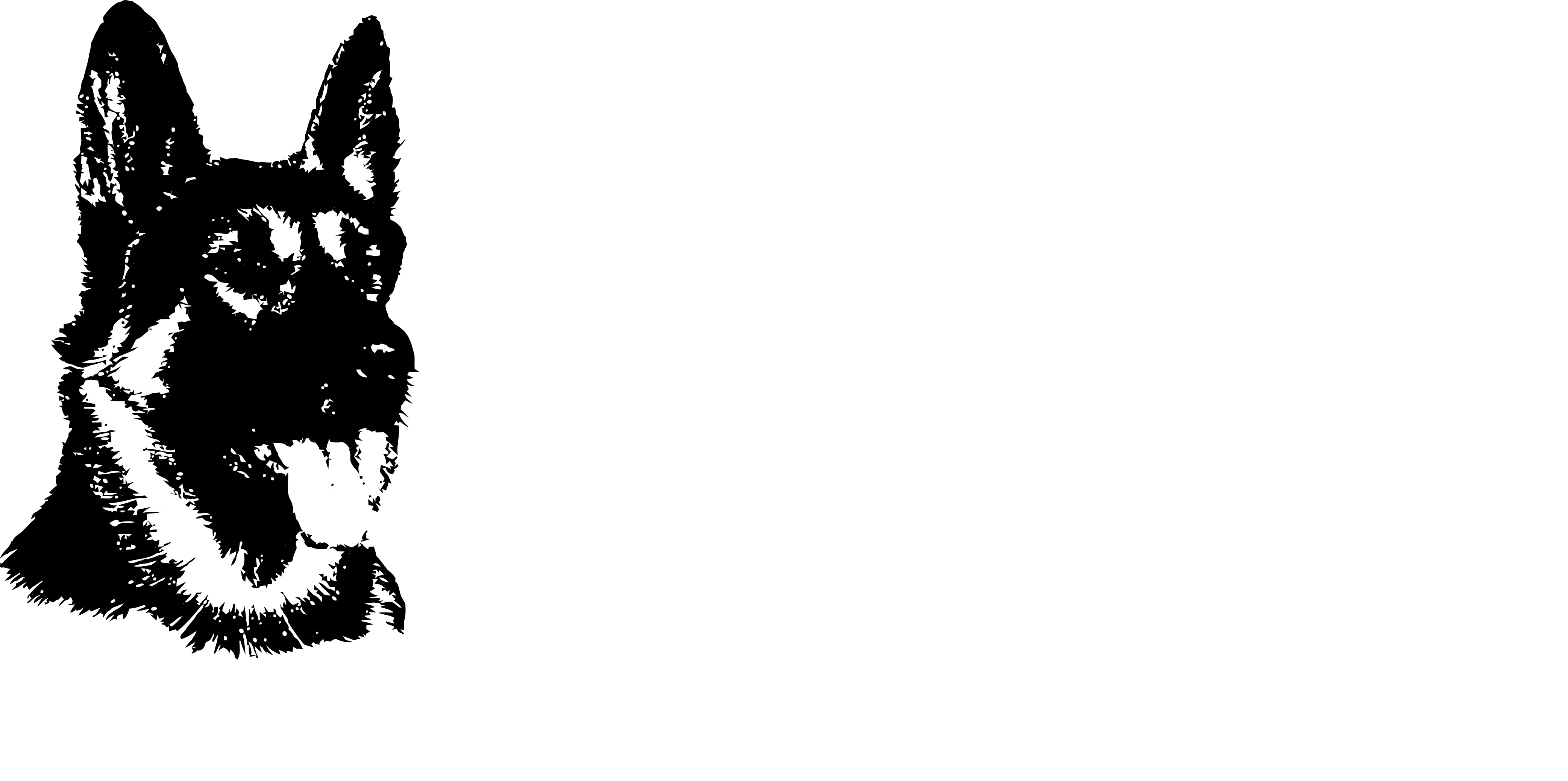 SSNW Inverted logo