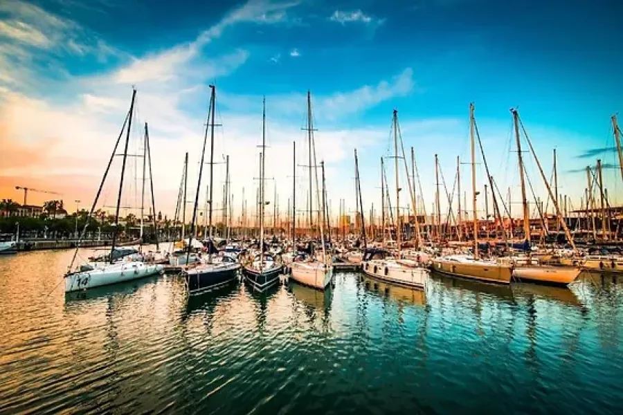 sailboats in marina facing forward