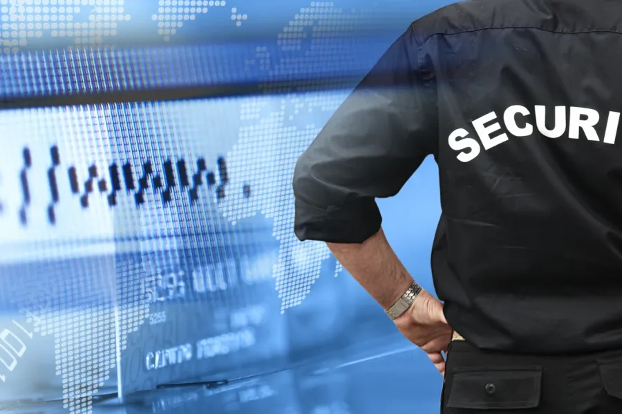 abstract image of security guard seen from back with blue-tinted internet screen in background