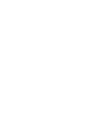 Site Security Icon