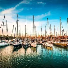 sailboats in marina facing forward