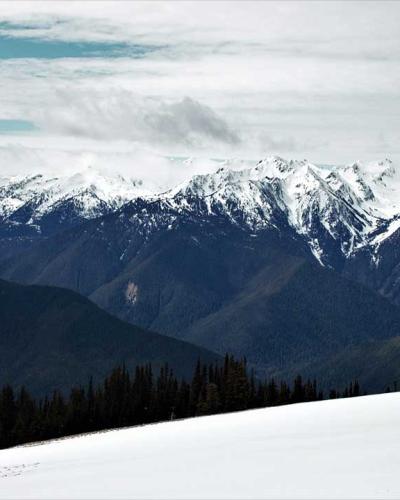 hurricane ridge mountains covered in snow